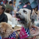 太可爱！连孙俪娘娘都为他们站台