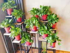 -ZING COFFEE 镜咖啡