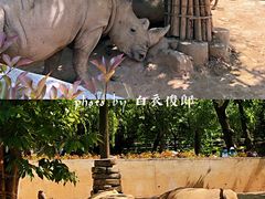 -西安秦岭野生动物园