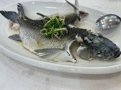 -寻味顺德·南记酒家·传统顺德菜·鱼生(广源路店)
