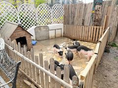 -HERRE·FARM 赫尔露营农场·团建聚会包场