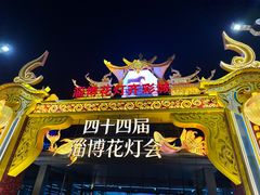 -淄博花灯齐彩城