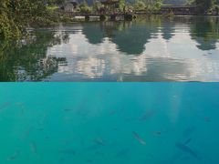 -靖西鹅泉风景区