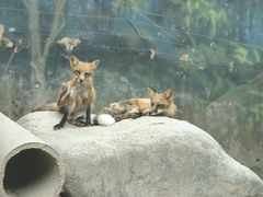 -宁波野生动物园