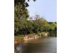 -南宁良凤江国家森林公园