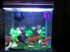 -宜德饭堂(顾村店)