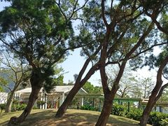 -梧桐山风景名胜区