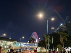 -Big Bus Tours 敞篷观光巴士