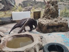 -济南野生动物世界