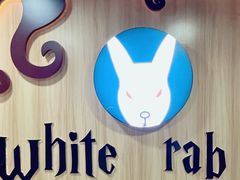 -白兔子密室(长寿路店)
