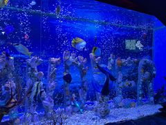 -太平洋海底世界