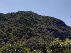 -东白山
