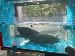 -浔味·山屿湖·正宗淳牌全鱼宴老字号