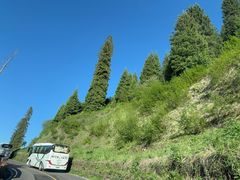 -新疆那拉提国家旅游度假区
