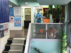 -甄爱宠物医院(疏影路店)