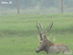 -溱湖国家湿地公园