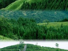 -瓦屋山景区