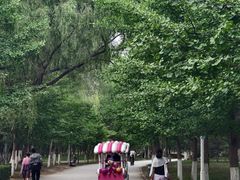 -长白岛森林公园