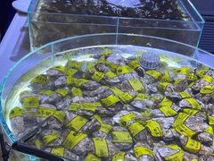 -聚盛源蒸汽海鲜火锅烤肉自助(巨川金海岸购物广场店)