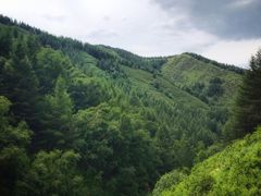 -苏木山森林公园