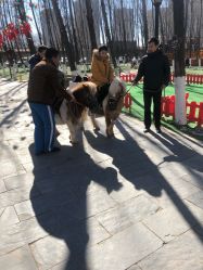 -蓝可可亲子乐园(北苑店)