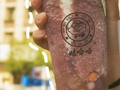 芝士脆珠葡萄-娃哈哈·奶茶(武林店)