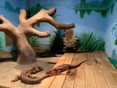 -石家庄市动物园