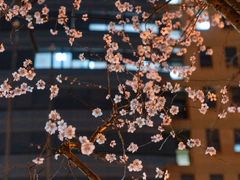 -安定门(地铁站)