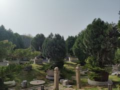 -中国唐苑