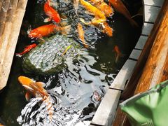 -上海大自然野生昆虫馆(东方明珠·爬宠昆虫探索中心)
