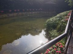 -月亮湾公园