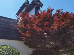 -檀园