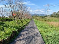 -长田漾湿地公园