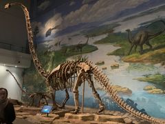 -自贡恐龙博物馆