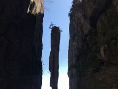 -恩施大峡谷