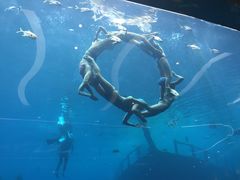 -瑞德姆美人鱼海底演艺主题餐厅(亚龙湾店)