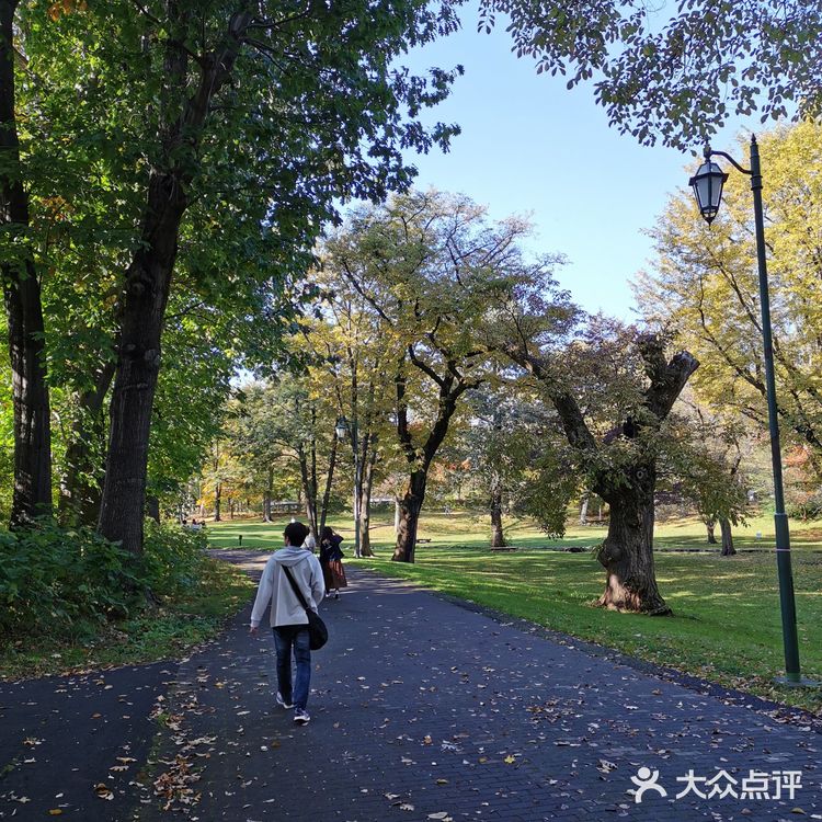 北海道大学赏枫