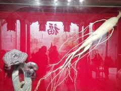 -特克斯八卦城