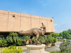 -自贡恐龙博物馆