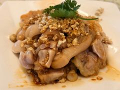 -百利鸽王(紫薇路店)