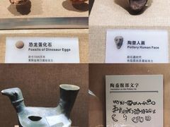 -烟台市博物馆