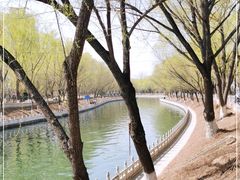 -南长河公园