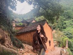 -杨家堂村