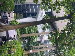 -利苑酒家(合景国际金融广场店)
