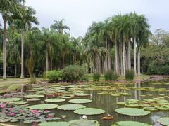 -中国科学院西双版纳热带植物园