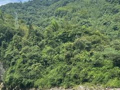 -西岭雪山大飞水景区