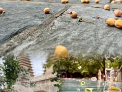 -北京石刻艺术博物馆(五塔寺)