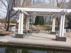 -郑东新区湿地公园