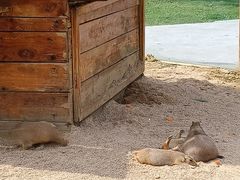 -祥源·阜阳生态乐园