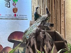 -大理董·董家小厨野生菌火锅(古城旗舰店)